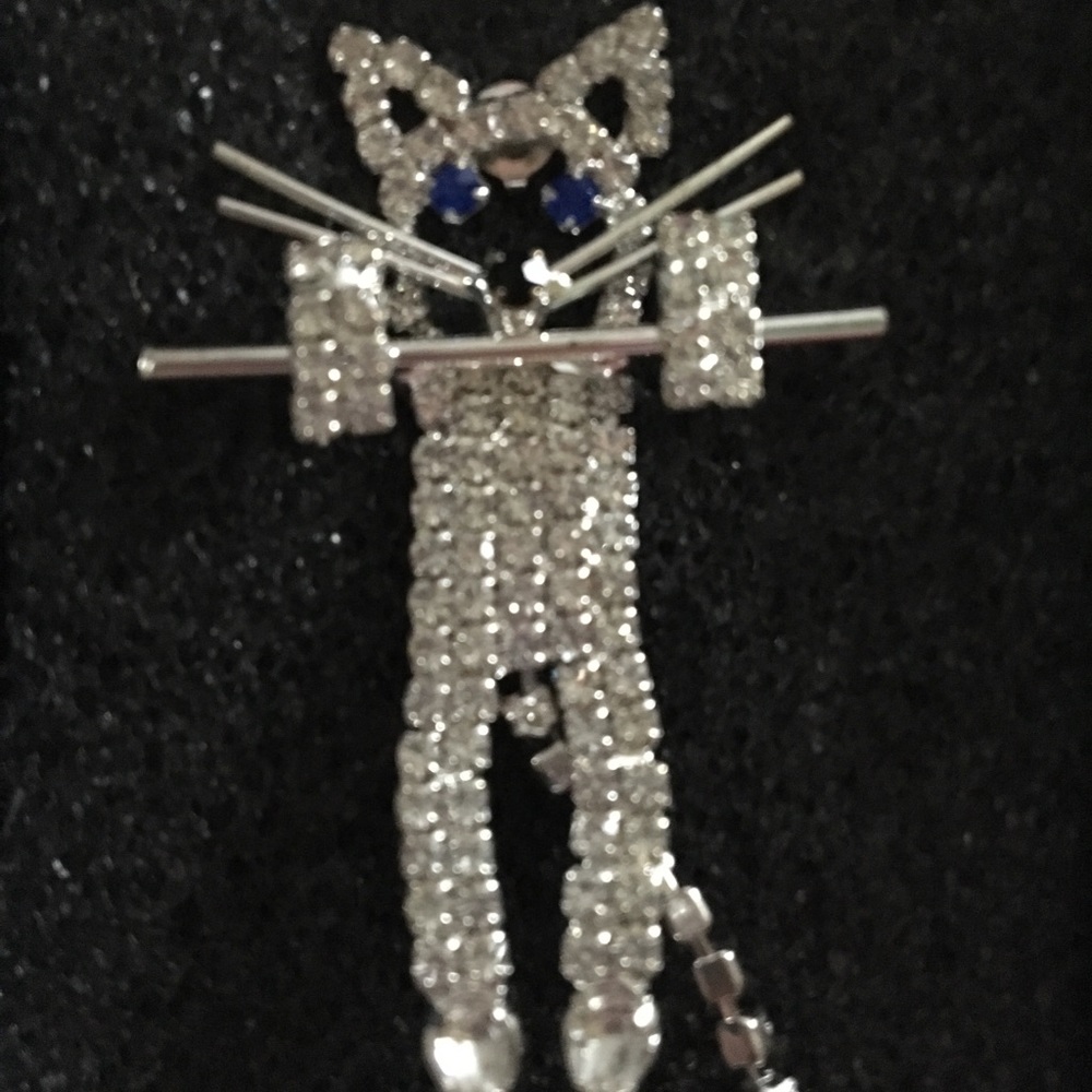 Bradford exchange kitty crystal pin